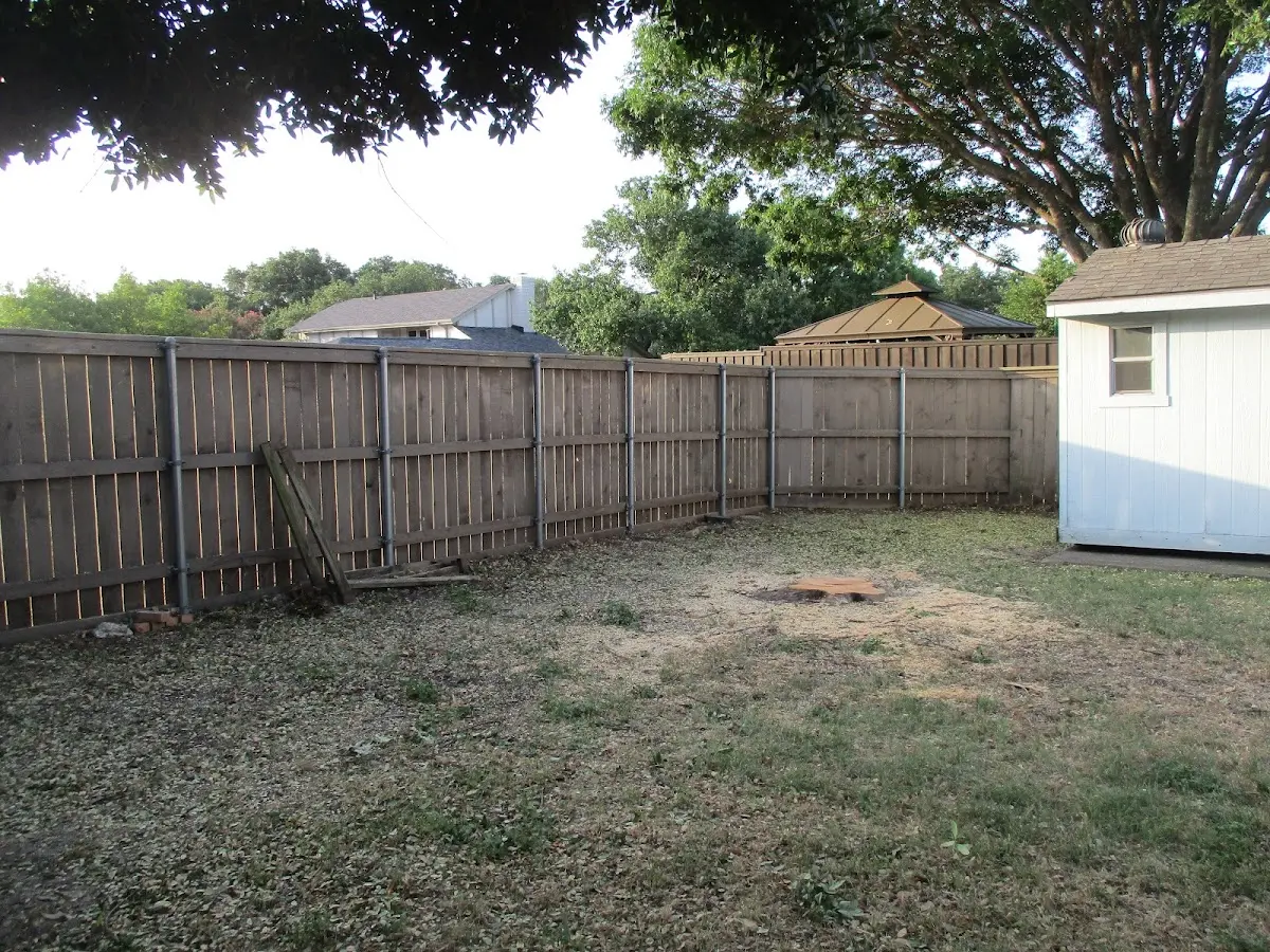 Cleared yard after professional tree removal in Reno